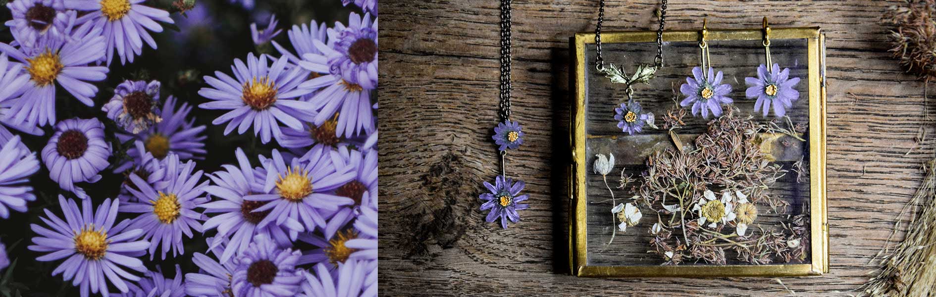Close-up of purple daisy flowers on the left; on the right, dried flowers and a purple flower pendant displayed in a glass frame on a wooden surface.