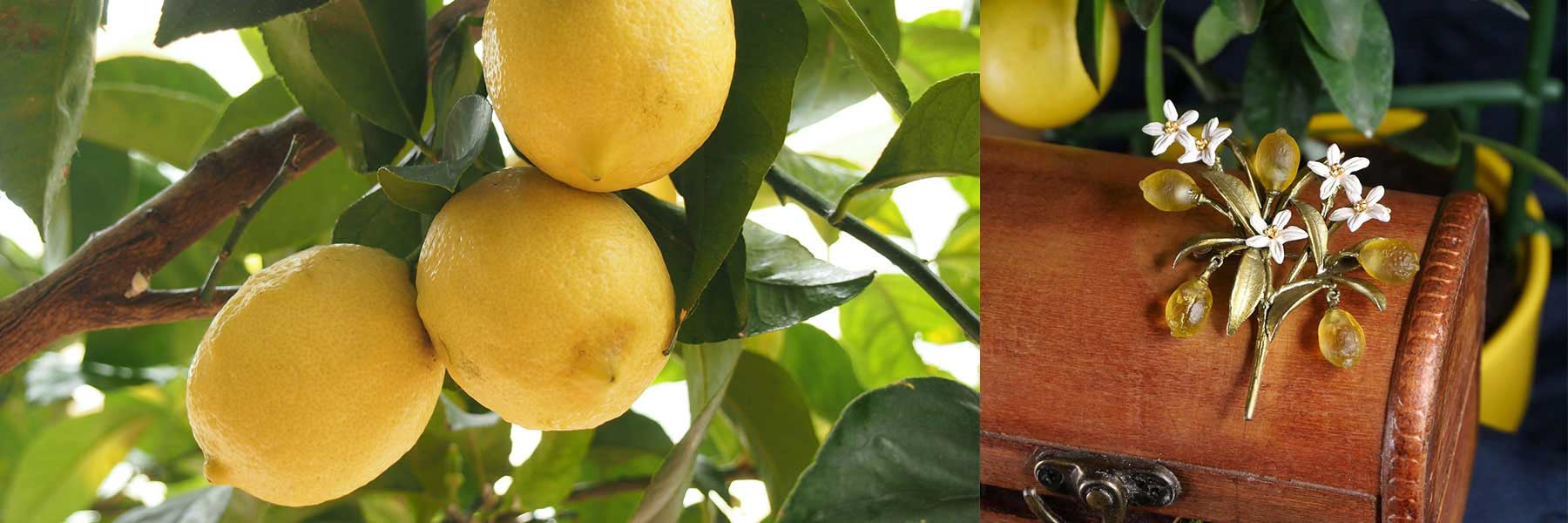 Three yellow lemons hang on a tree branch with green leaves; next to it, a lemon-themed brooch with white flowers rests on a wooden box.