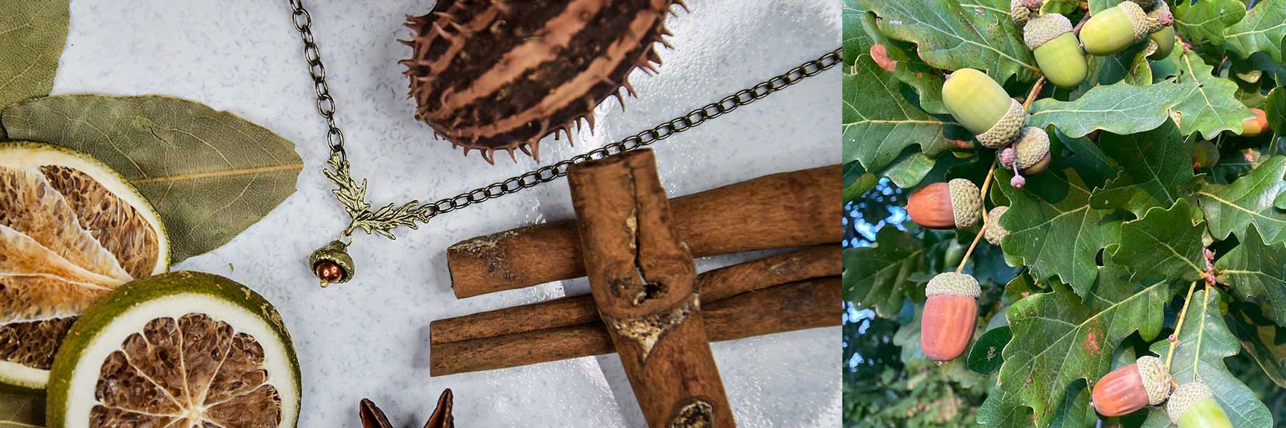 A necklace with an acorn pendant lies among dried citrus, cinnamon sticks, and spices; next to it, acorns grow on an oak tree.
