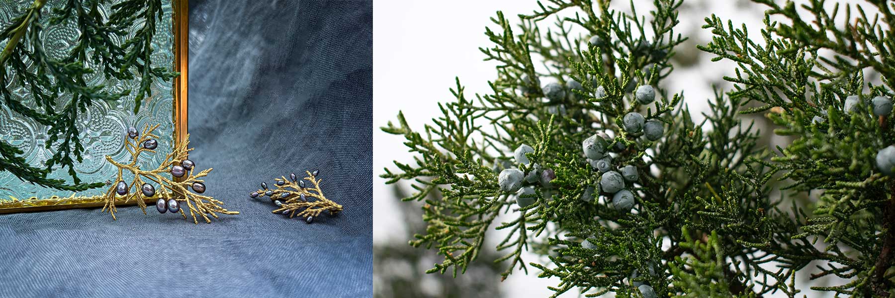 A gold and purple brooch shaped like a branch with berries is placed near a decorative mirror. Next to it is a close-up photo of a real branch with green leaves and blue berries.