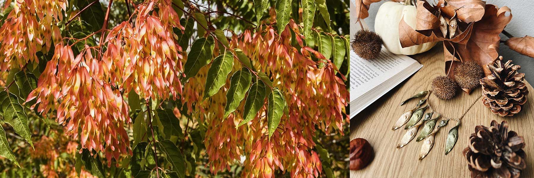 Left: Clusters of orange and pink winged seeds hanging from a tree. Right: Autumn-themed objects and jewelry arranged on a wooden surface.