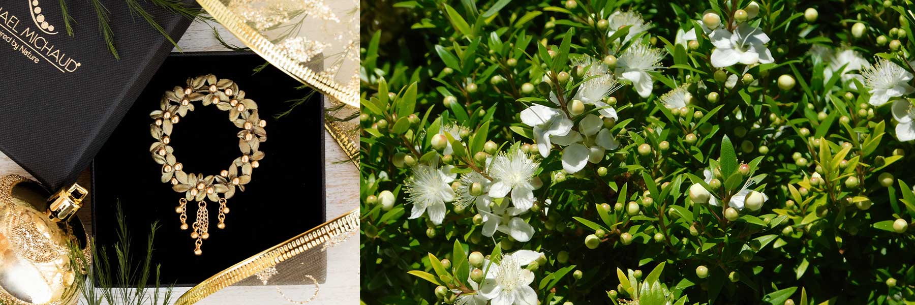 A gold floral bracelet in a black box on the left, and white myrtle flowers on green foliage on the right.