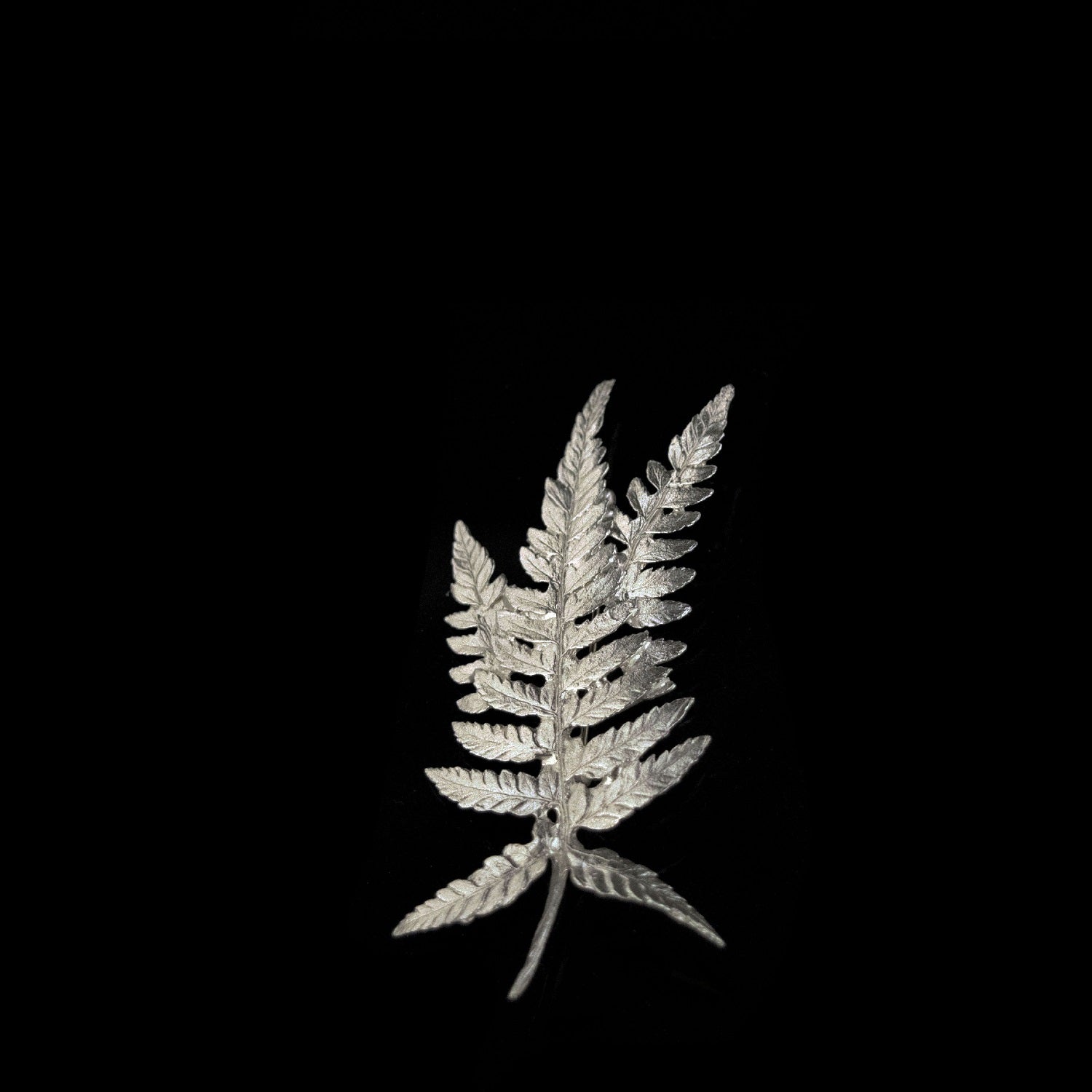 A silver fern leaf ornament is displayed against a solid black background.
