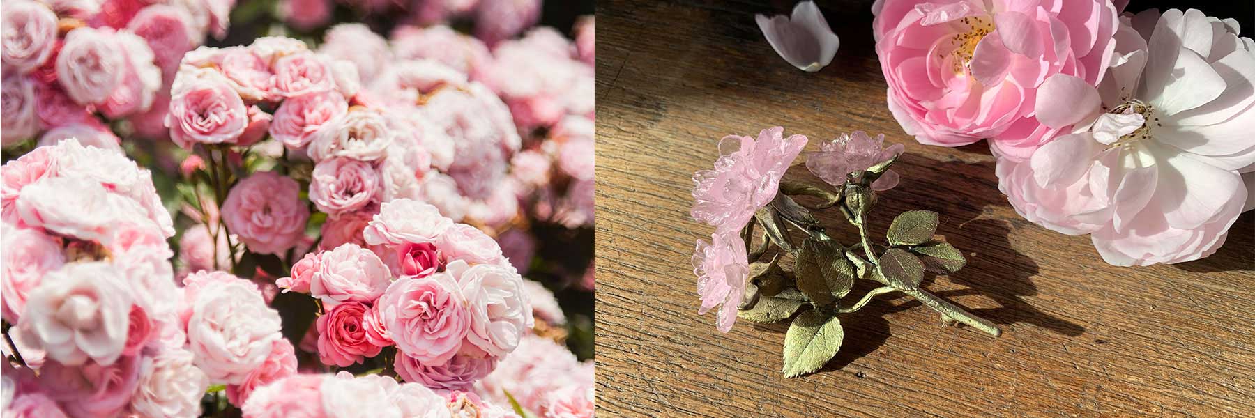 Pink roses bloom in a garden on the left; on the right, artificial pink and white roses rest on a wooden surface in sunlight.