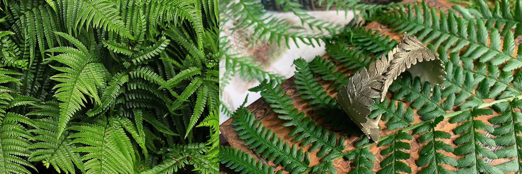 Close-up of bright green fern leaves; on the right, a metallic leaf-patterned bracelet rests on fern fronds atop a tree trunk or wooden surface.