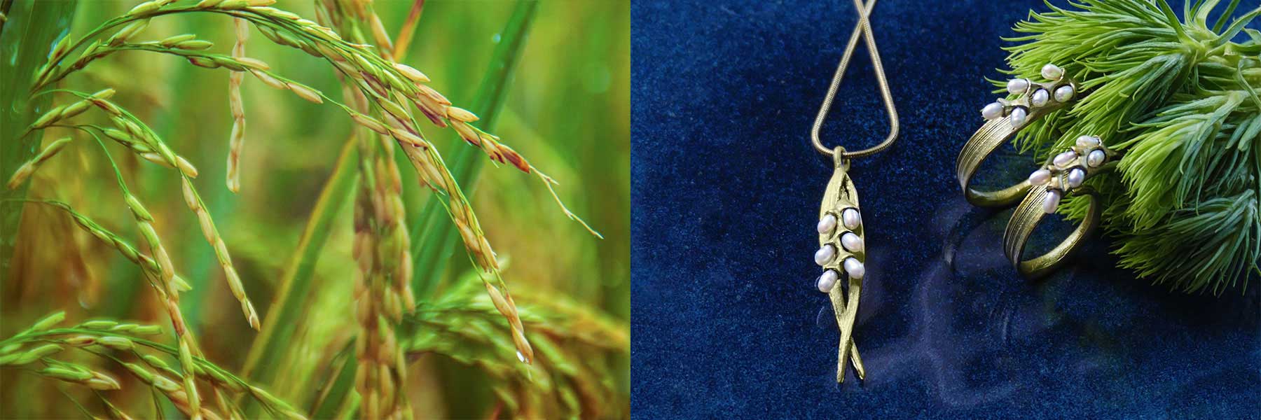 Close-up of rice grains on stalks on the left; gold jewelry set with pearl-like stones, shaped like rice grains, on the right.