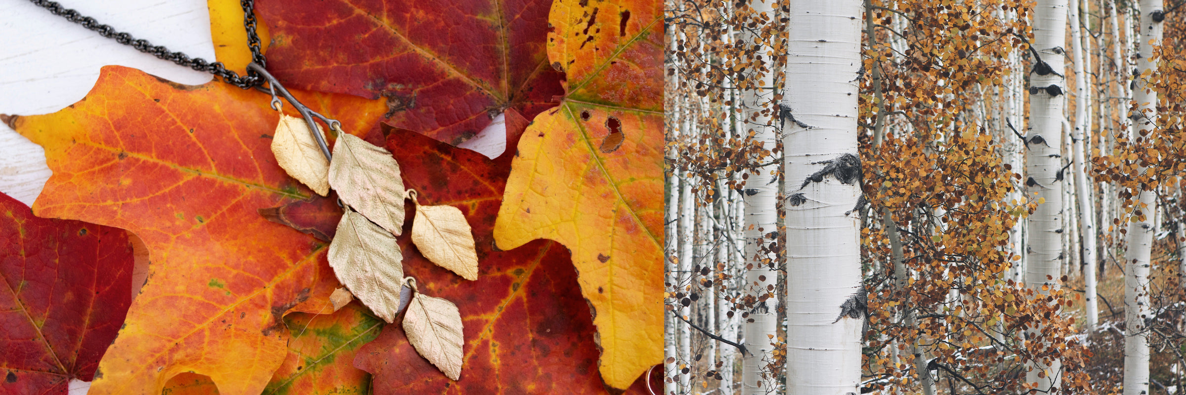 A gold leaf necklace on colorful autumn leaves is shown on the left, while white aspen tree trunks with orange foliage appear on the right.