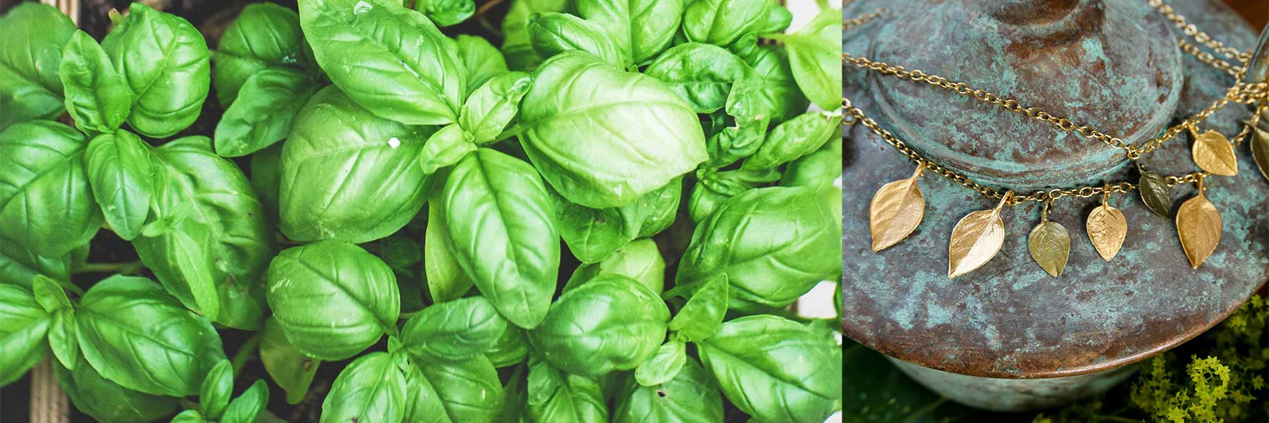Close-up of fresh green basil leaves on the left and a gold leaf necklace displayed on a rustic, weathered metal surface on the right.