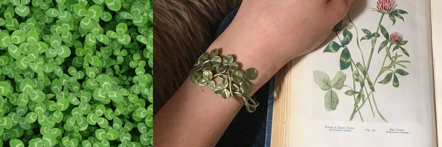 A person wearing a bracelet with green clover leaves sits next to an open book displaying botanical illustrations of clover plants.