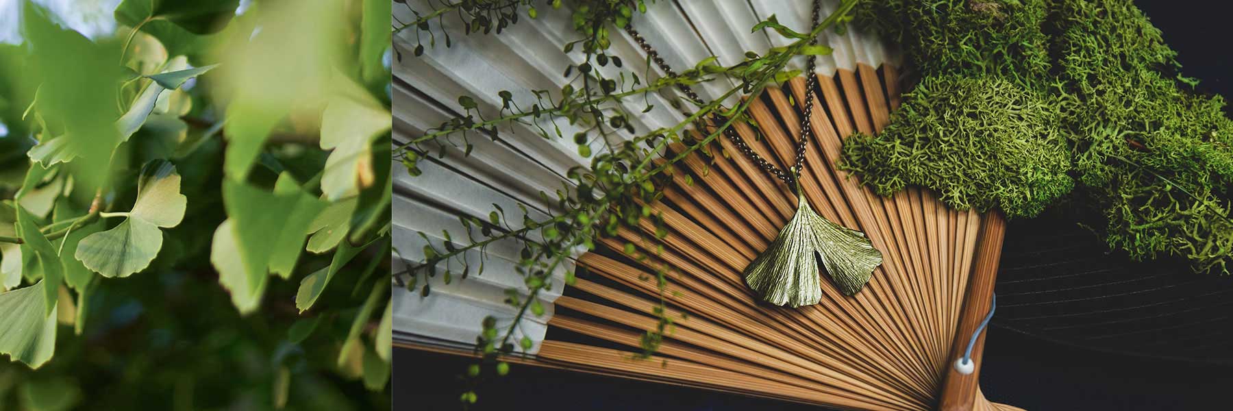 Close-up of ginkgo leaves on the left and a decorative hand fan with a ginkgo leaf pendant and greenery on the right.