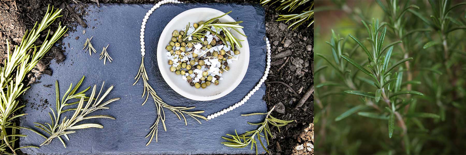 A small bowl of coarse salt and green peppercorns sits on a slate board, surrounded by fresh rosemary sprigs, with rosemary plants growing in the background.