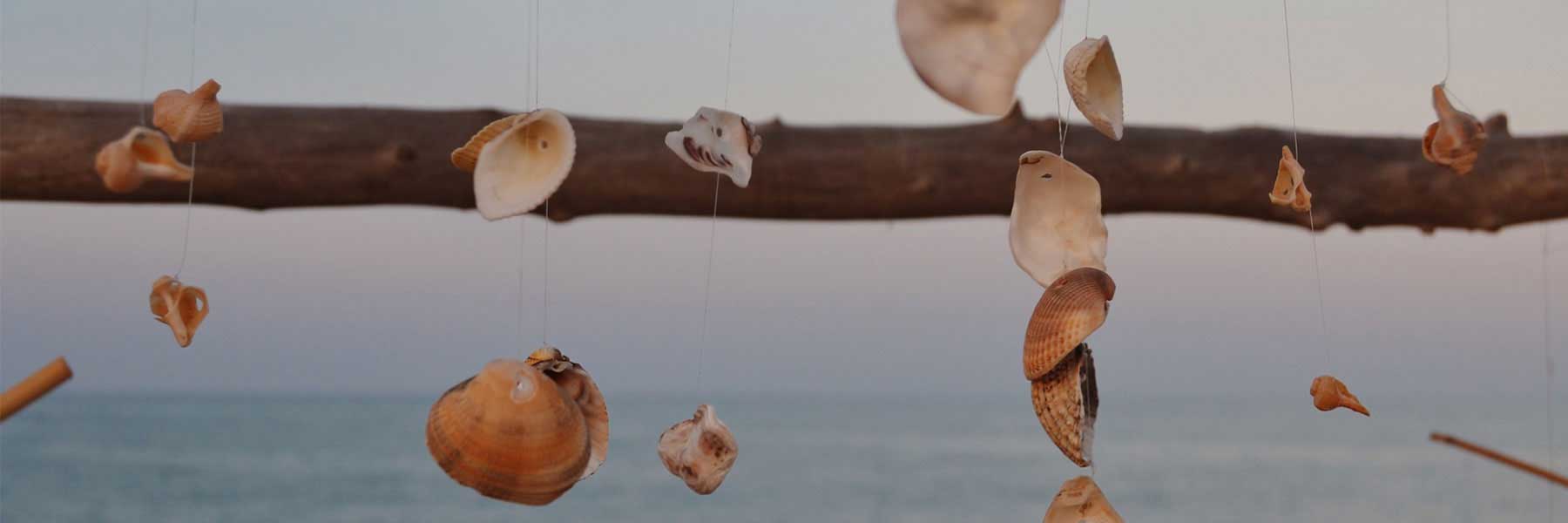 Seashells hang from strings tied to a wooden pole, with the sea and sky in the background.