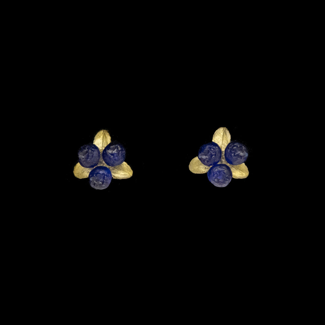 Image of the Michael Michaud Petite Blueberry Earrings - Post on a black background