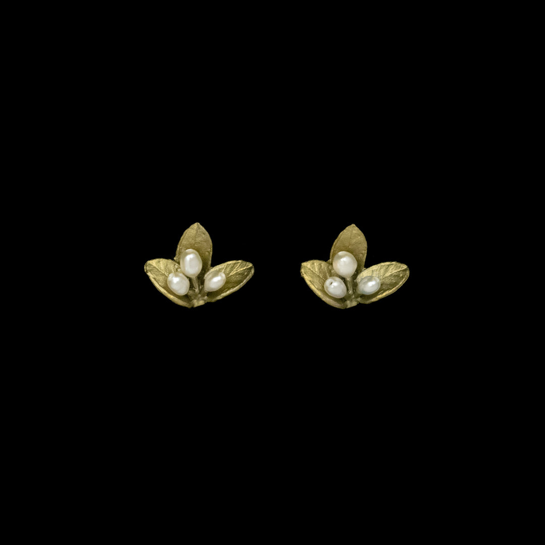 Image of the Michael Michaud Spring Vine Earrings - Stud on a black background