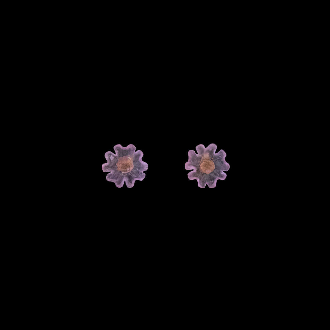 Two small, symmetrical purple objects with flower-like shapes are centered on a black background.