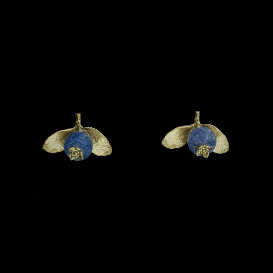 Image of the Michael Michaud Blueberry Earrings - Post on a black background