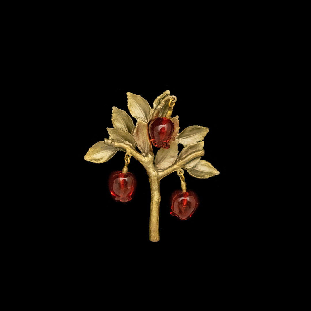Image of the Michael Michaud Delicious Apple Brooch - 3-Drop on a black background