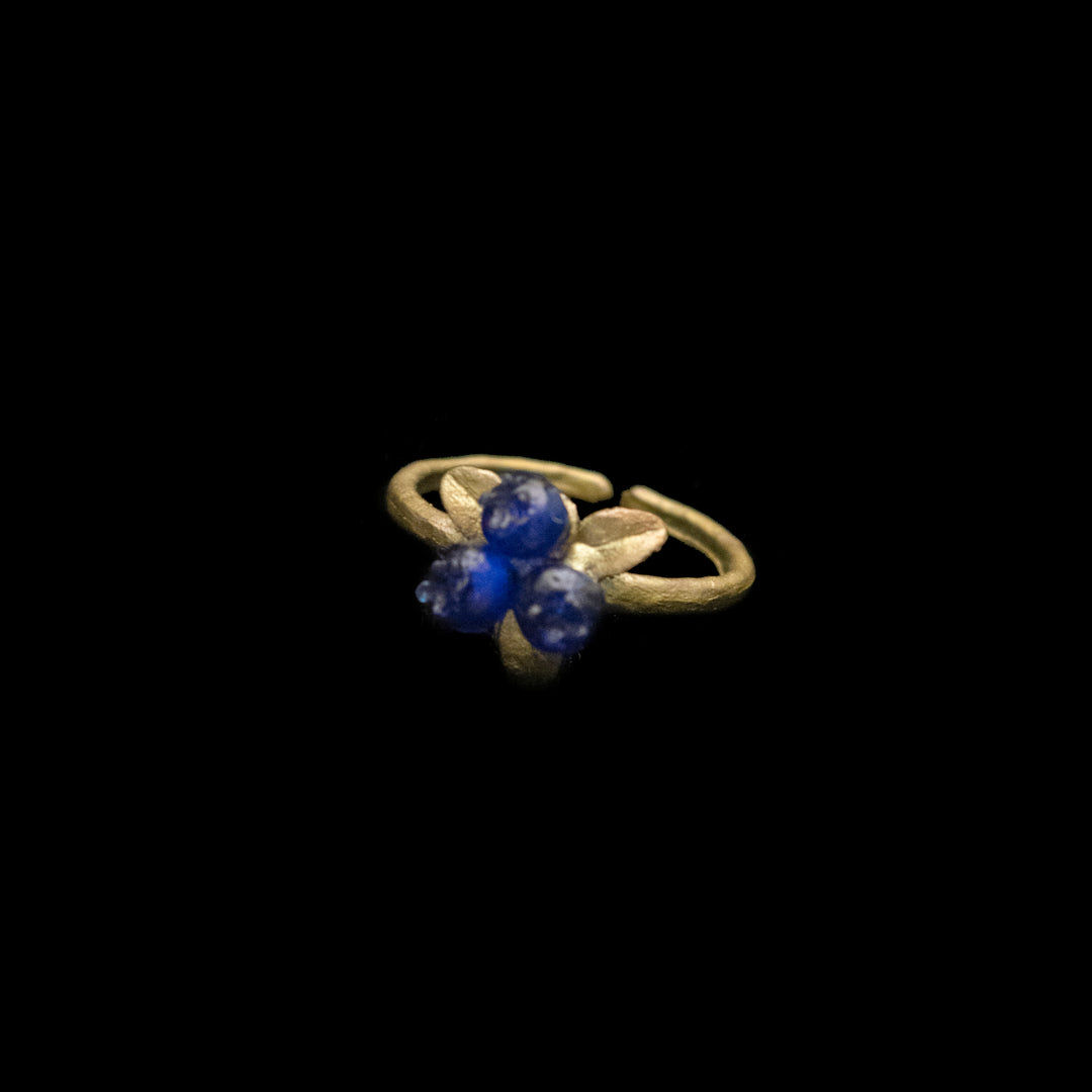 Image of the Michael Michaud Petite Blueberry Ring on a black background