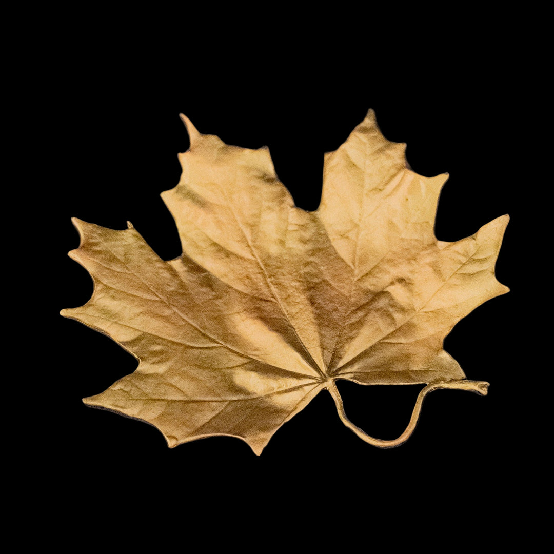 Image of the Michael Michaud Maple Dish on a black background