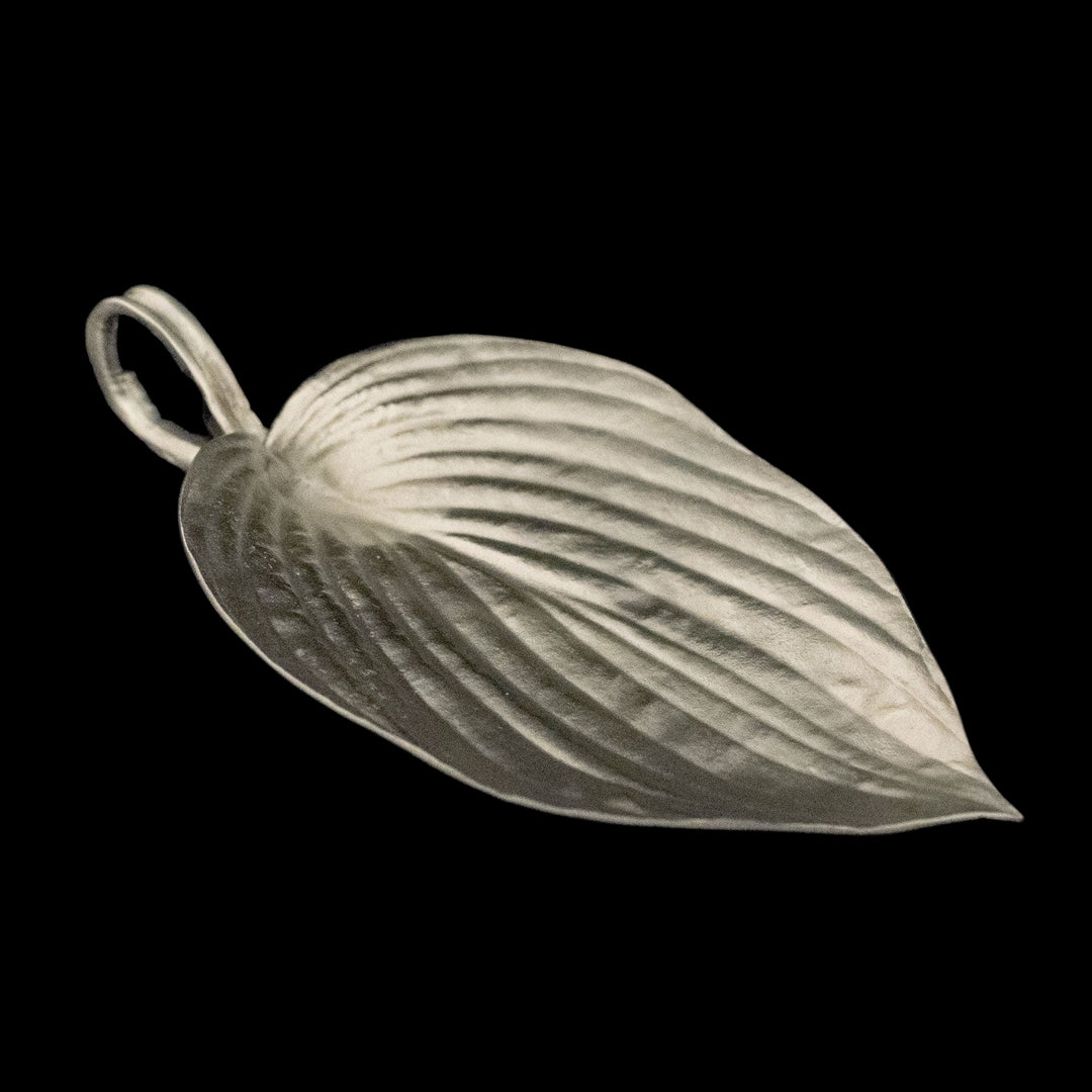 Hosta Dish