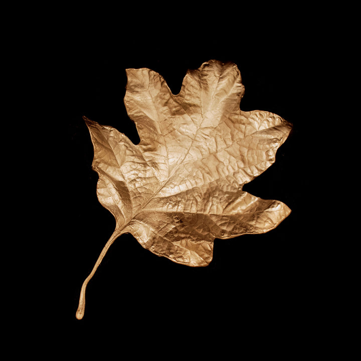 Image of the Michael Michaud Hydrangea Leaf Dish on a black background