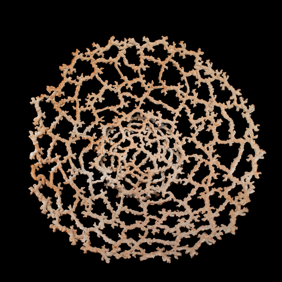 Coral Basket