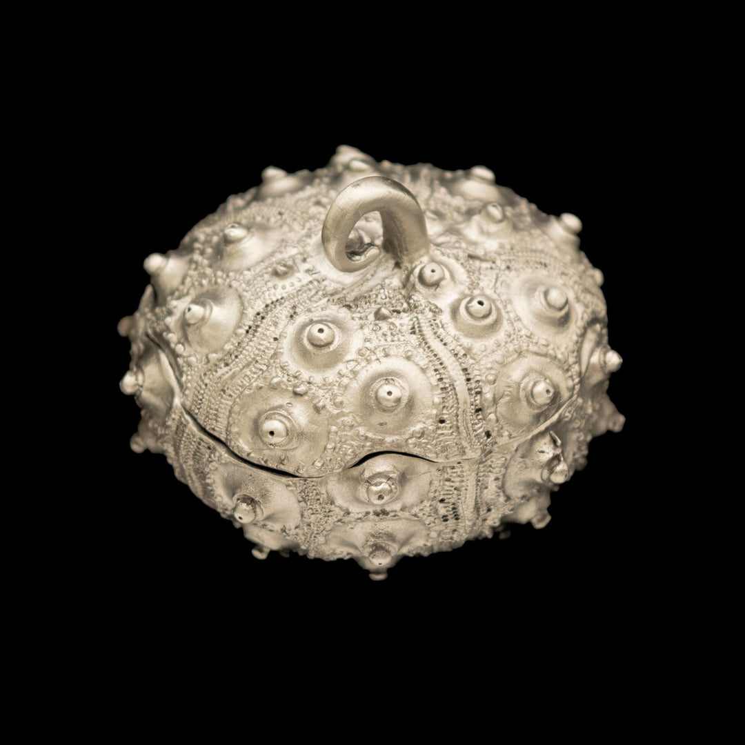 Image of the Michael Michaud Sea Urchin Box - Small on a black background
