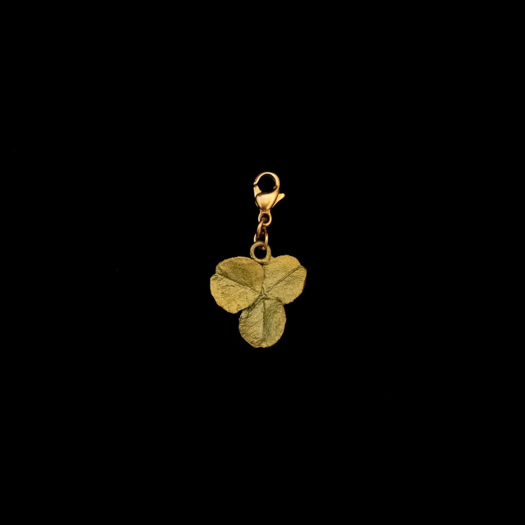 A bronze charm in the shape of a clover leaf with a gold-colored clasp.