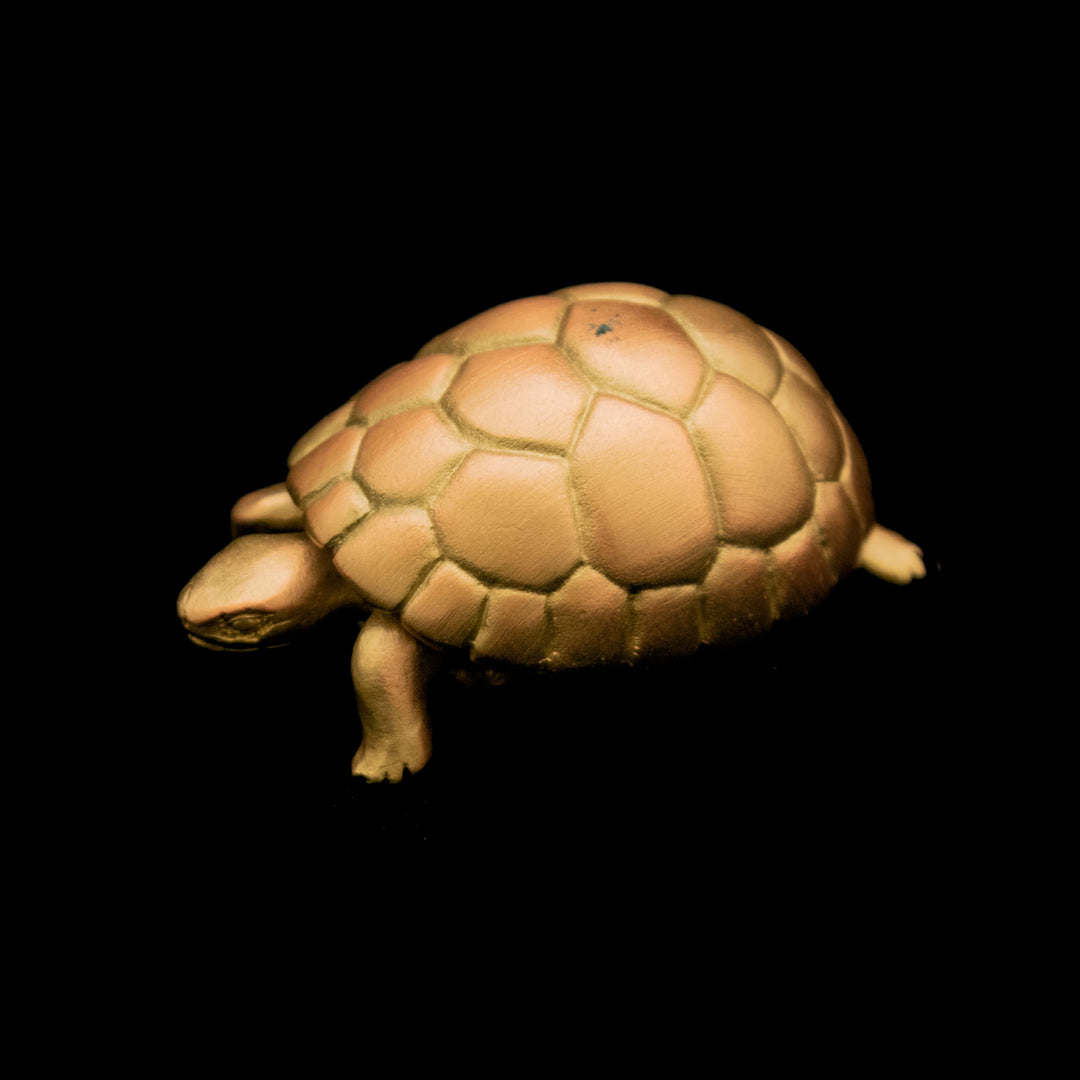 Image of the Michael Michaud Tortoise Box on a black background