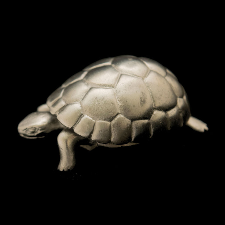 Tortoise Box