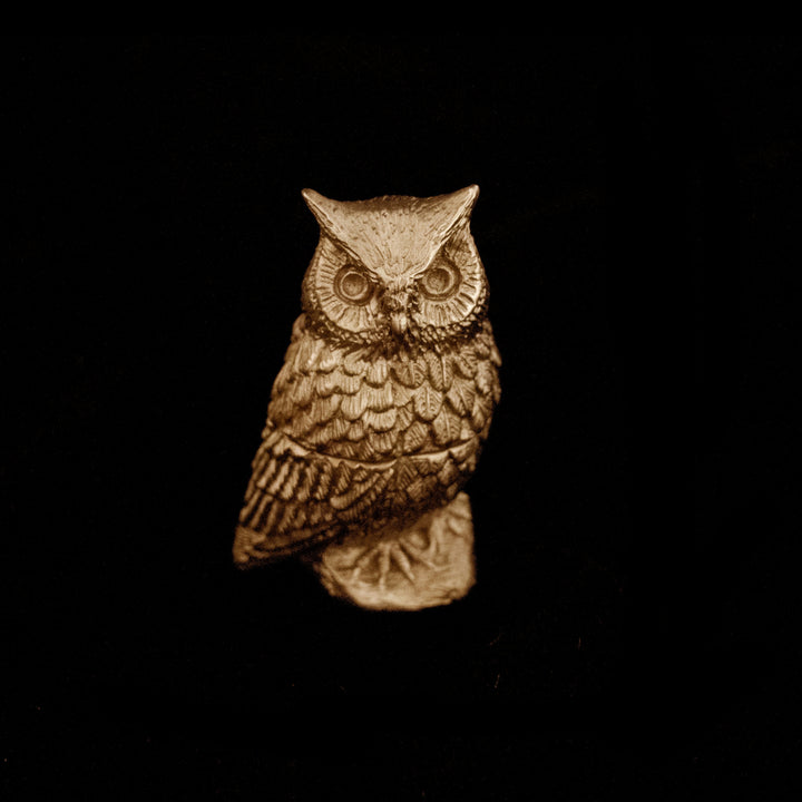 Image of the Michael Michaud Screech Owl Box on a black background