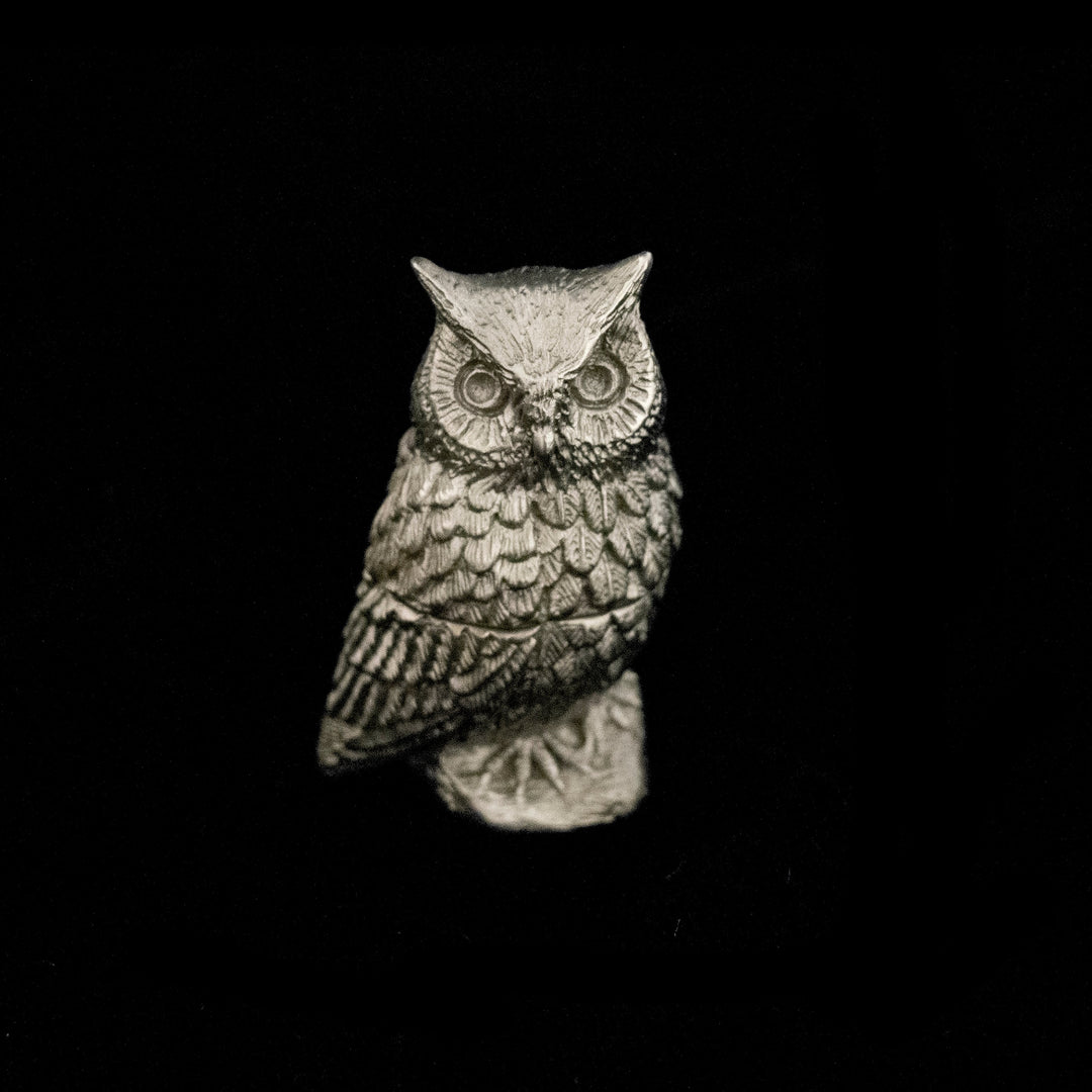 Screech Owl Box