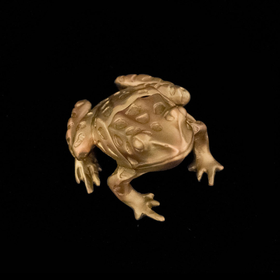 Image of the Michael Michaud Leopard Frog Box on a black background