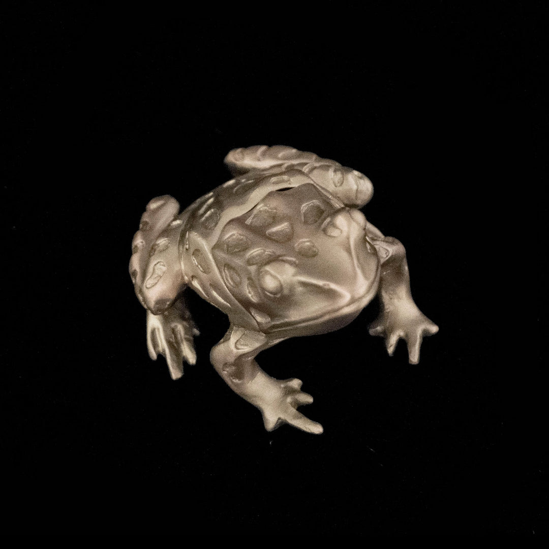 Leopard Frog Box
