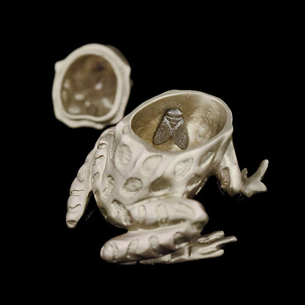 Leopard Frog Box
