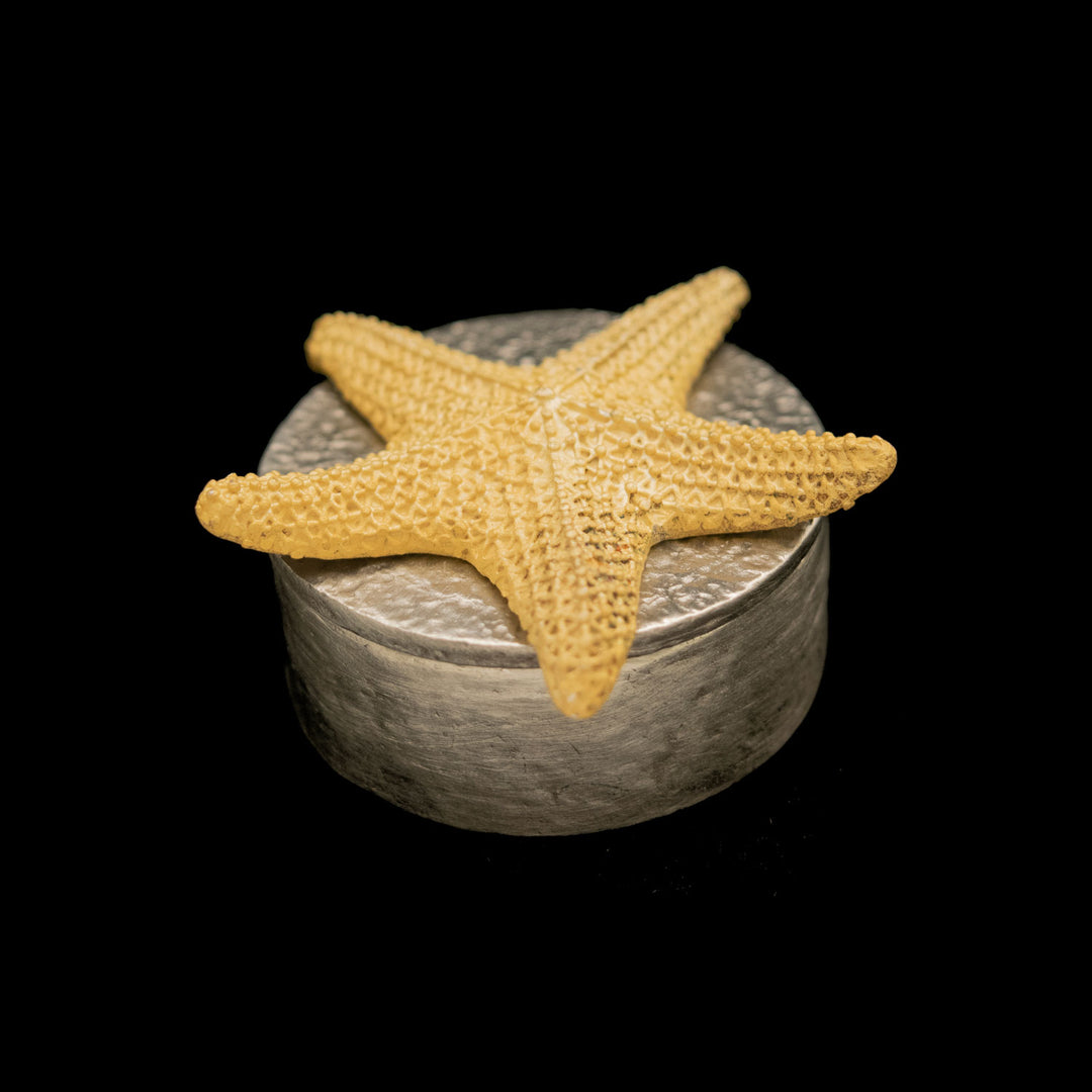Image of the Michael Michaud Starfish Box on a black background