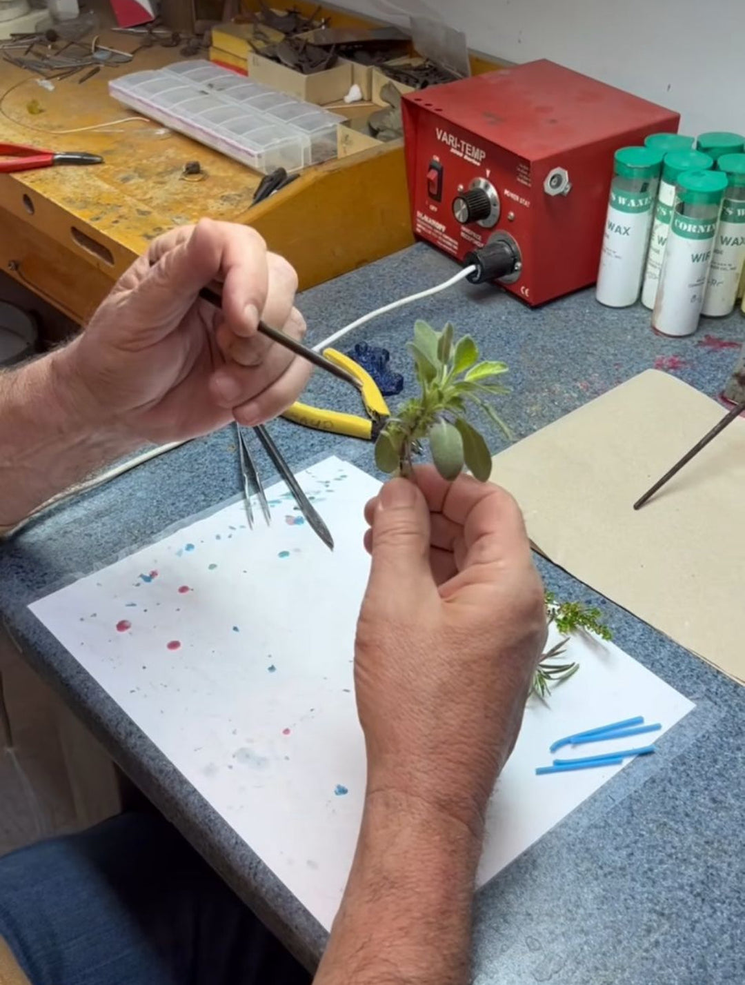 A person holds a small green plant with one hand and uses tweezers in the other hand at a workbench. Tools, wax, and scattered supplies are visible on the tabletop.