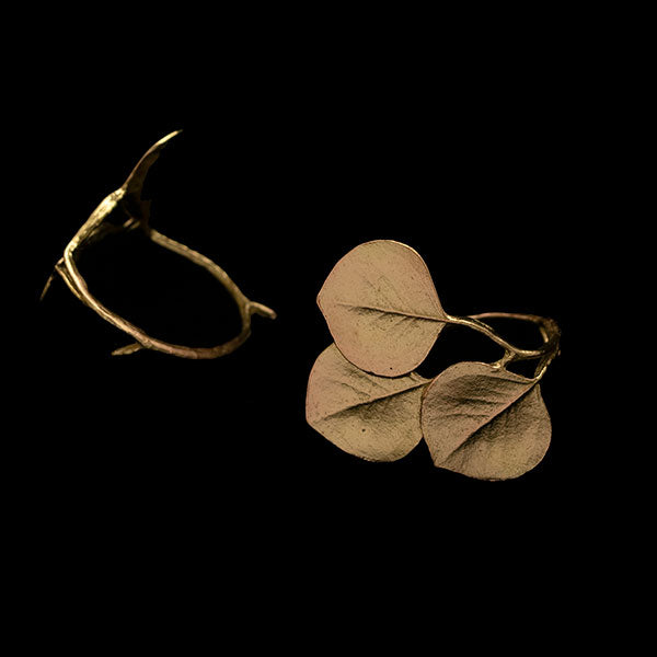 Image of the Michael Michaud Round Leaf Eucalyptus Napkin Rings on a black background