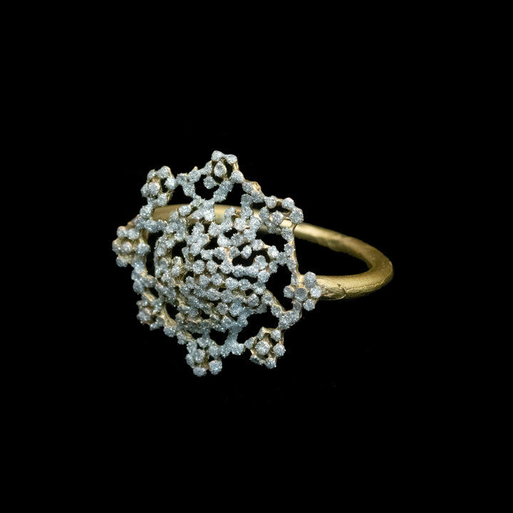 Queen Anne's Lace Napkin Ring Sets