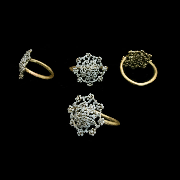 Queen Anne's Lace Napkin Ring Sets