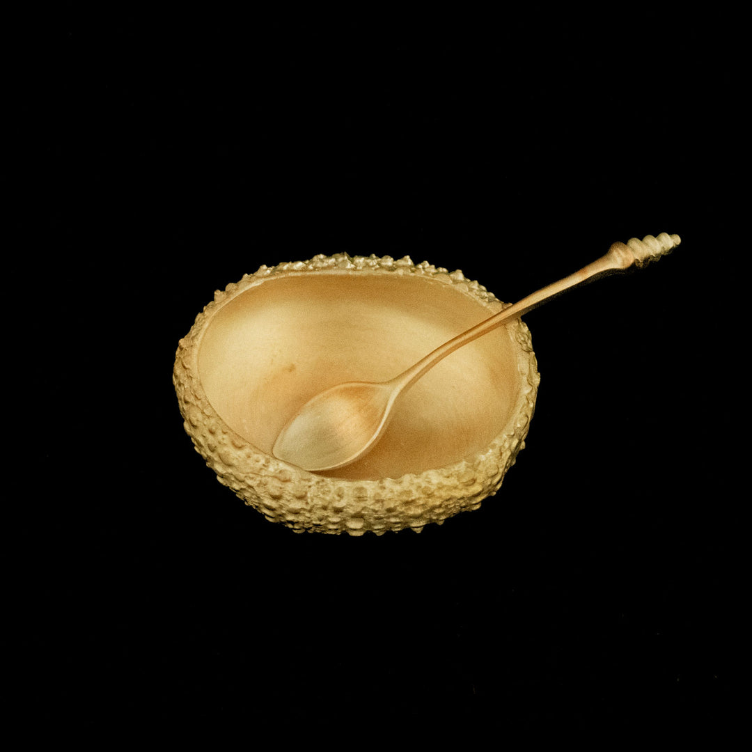 Image of the Michael Michaud Sea Urchin Salt Dish on a black background