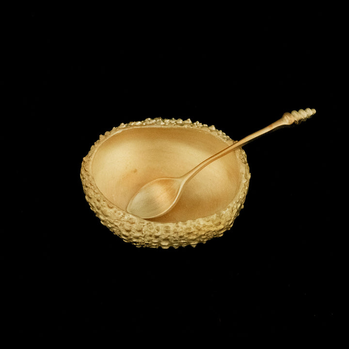 Image of the Michael Michaud Sea Urchin Salt Dish on a black background