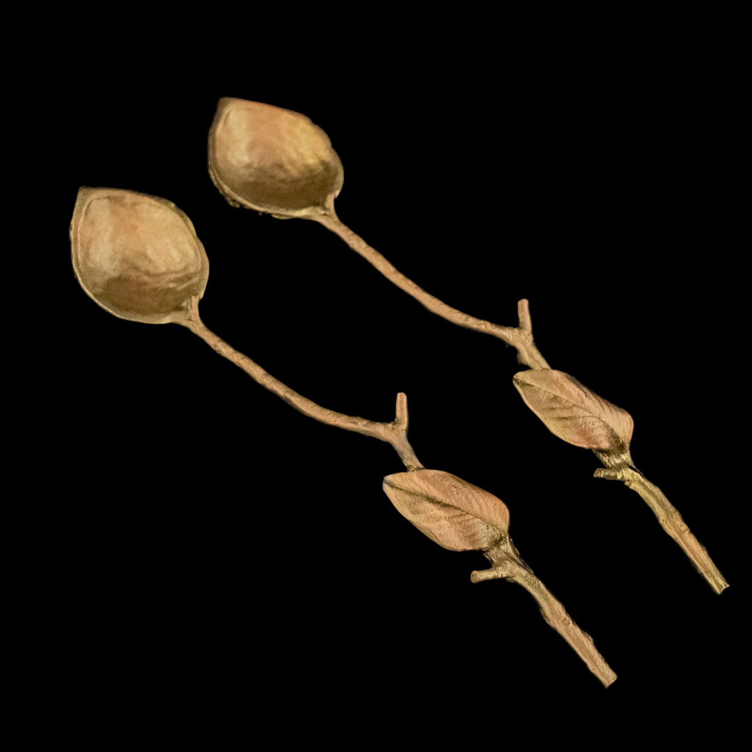 Image of the Michael Michaud Peach Pit Spoon Set - Set of 2 on a black background