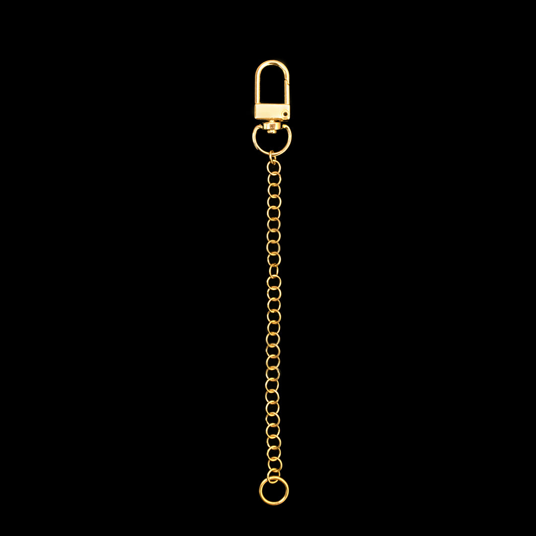A gold chain with a clasp at the top and a small ring at the bottom, displayed vertically on a black background.