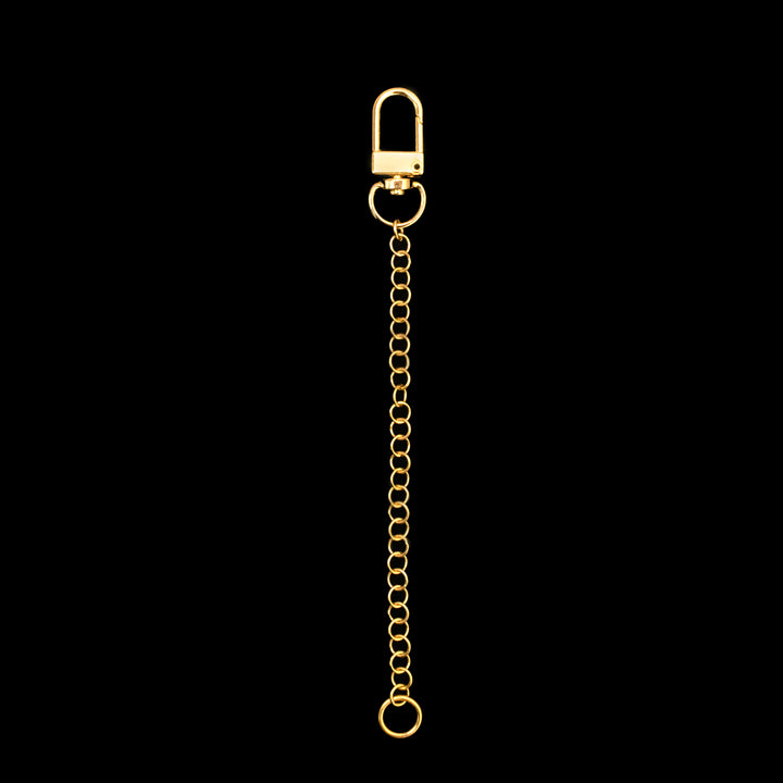 A gold chain with a clasp at the top and a small ring at the bottom, displayed vertically on a black background.