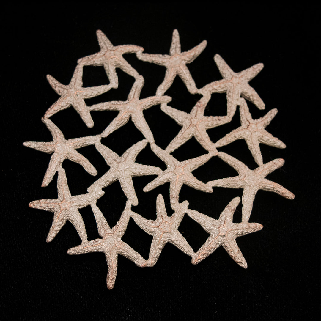 Image of the Michael Michaud Starfish Trivet on a black background