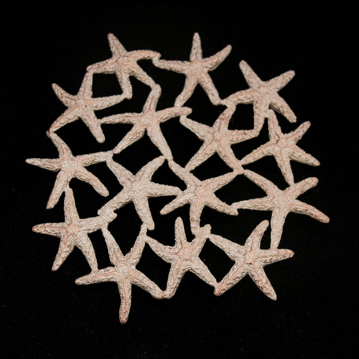 Image of the Michael Michaud Starfish Trivet on a black background