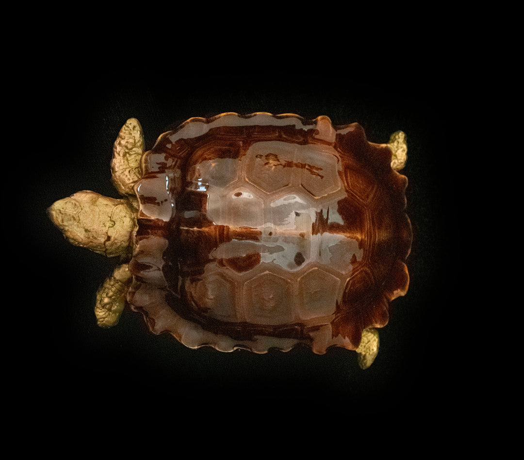 Turtle Box