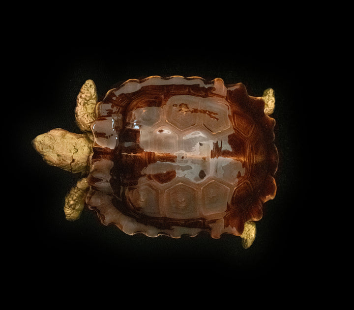Turtle Box