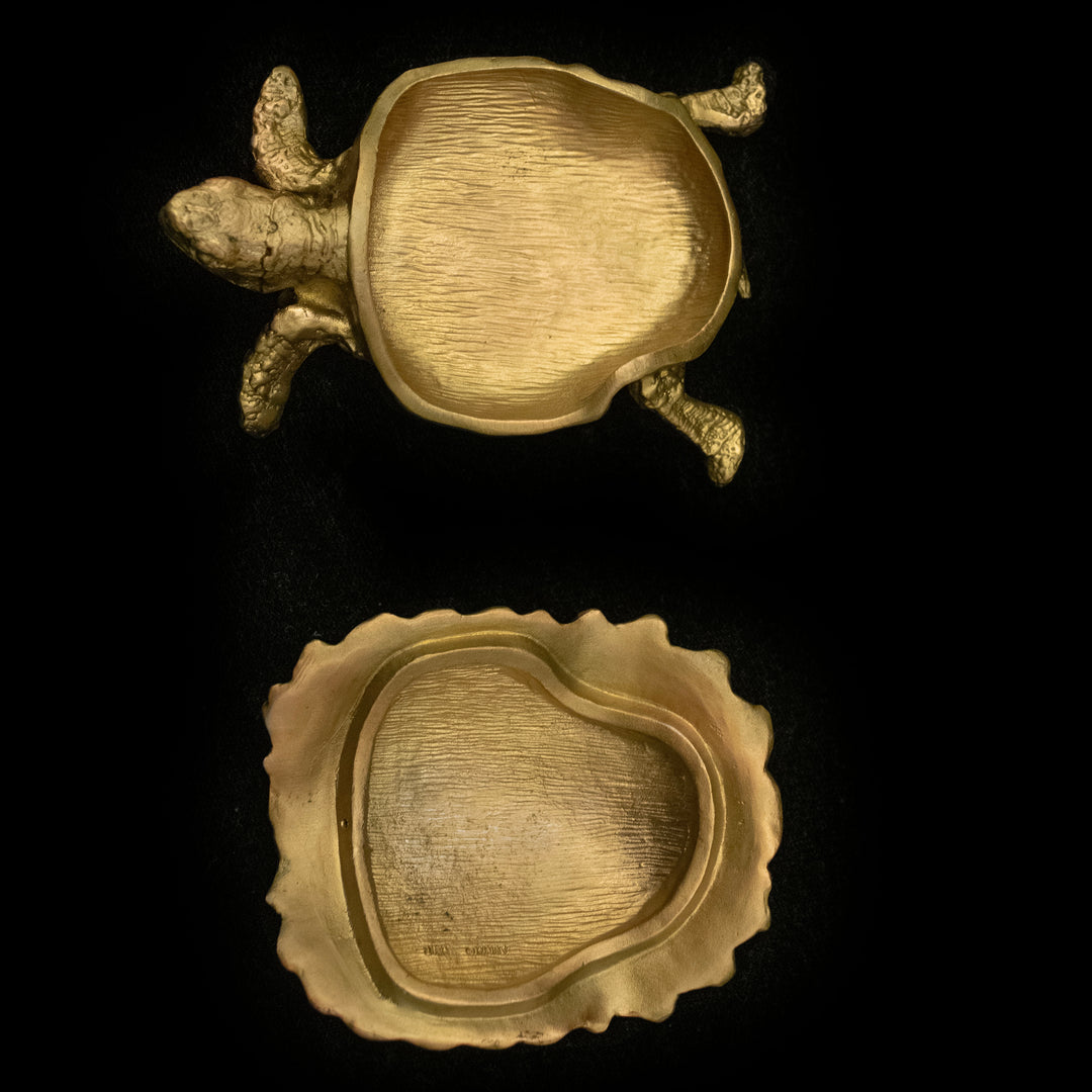 Turtle Box